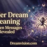 Spider dream meaning 2026