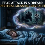 bear attack in a dream spiritual meaning