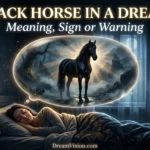 black horse dream meaning