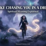 snake chasing you in a dream meaning