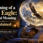 Dreaming of a Bald Eagle