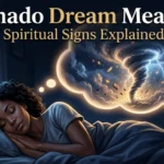 tornado dream meaning
