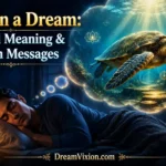 Turtle in a Dream